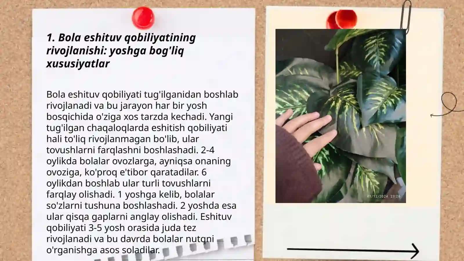 Eshqobilova Nasiba 3