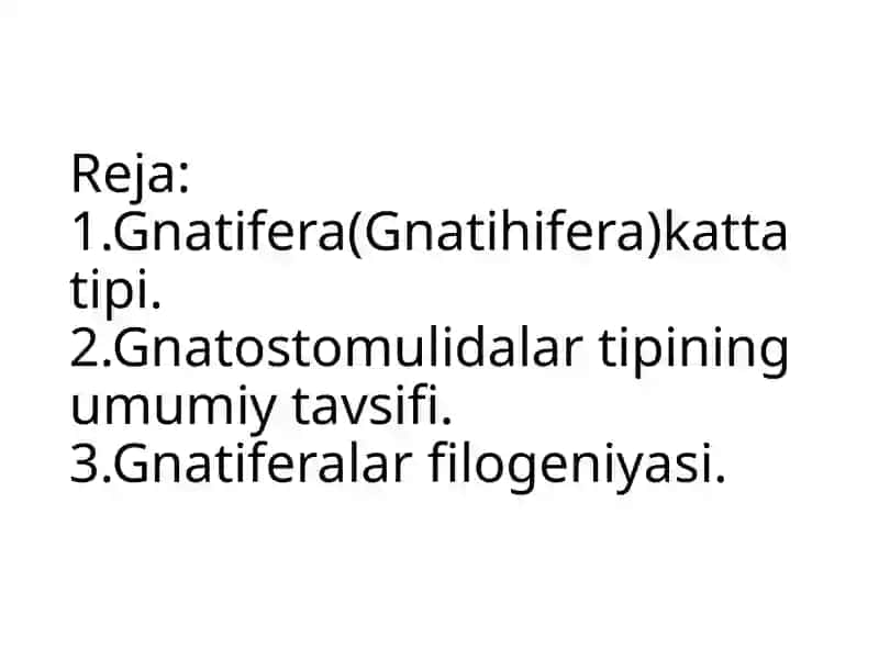 Gnatiferalar(Gnathifera) kattatipining umumiy tavsifi 3