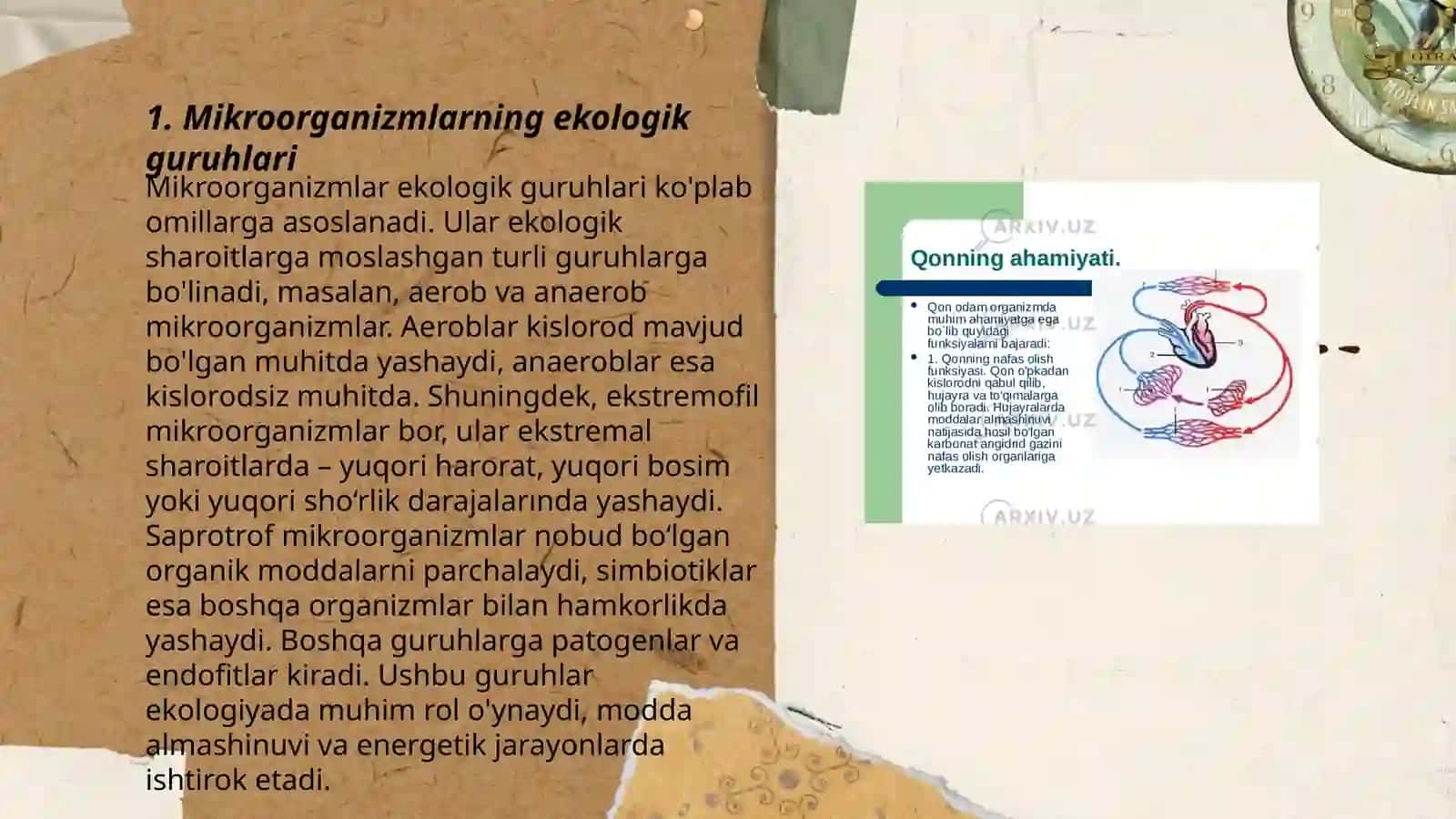 Mikroorganizmlarni ekologik va sistematik guruhlari, oziqlanishi hamda uning asosida ekologik guruhlarga boʻlinishi 3