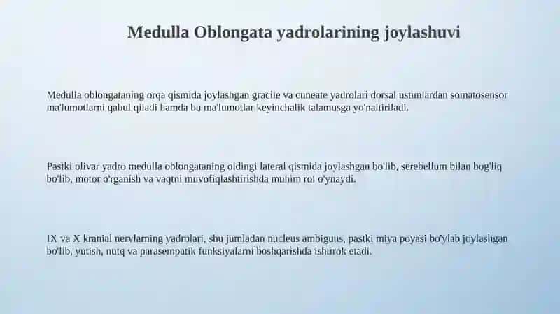 Umurtqa pog'onasi ildizlari: Anatomiyasi va shakllanishi 3