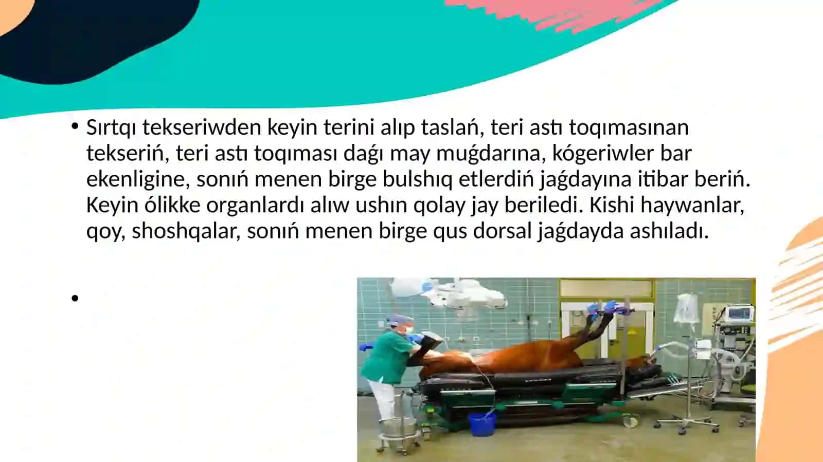 Awıl-xojalıq haywanlarınıń óligin jarıw 3