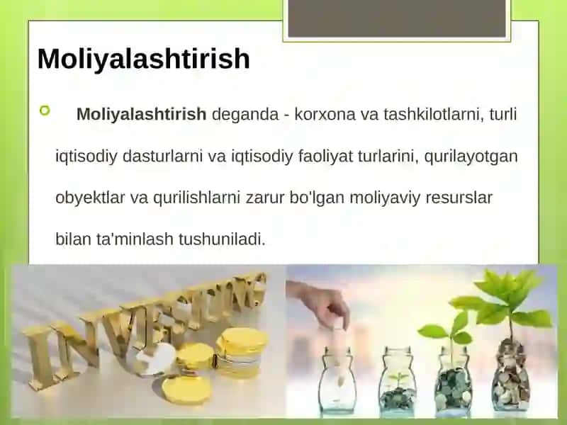 Real investitsiya loyihalarining samaradorligini baholash 3