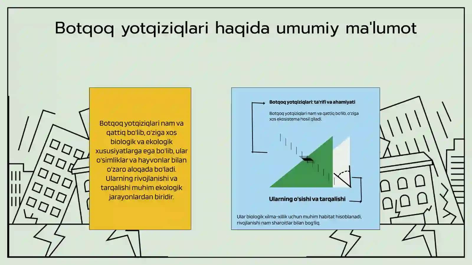 Botqoq yotqiziqlari va ularni xususiyatlari 3