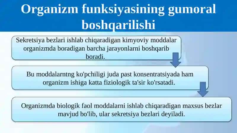 Organizm funktsiyasining gumoral va nerv boshqarilishi 3