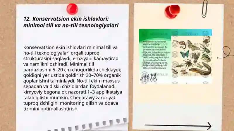 Konservatsion ekin ishlovlari: minimal till va no-till texnologiyalari 3