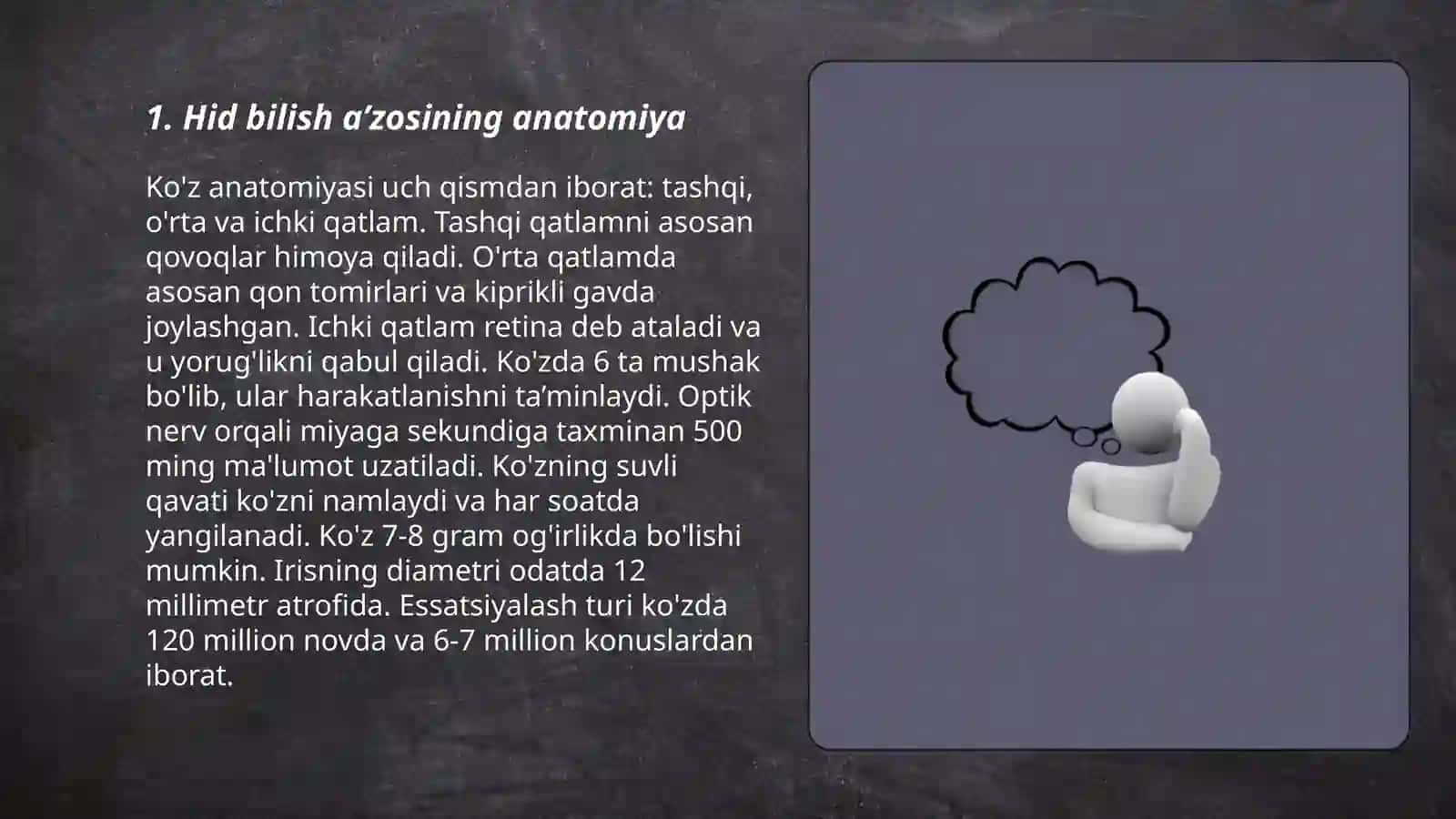Hid bilish aʼzosi gistologiyasi 3