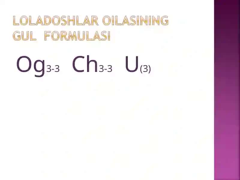 Loladoshlar oilasi va ularning hayot bosqichi 3