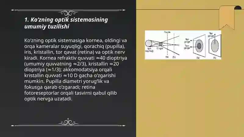 Koʻzning optik sistemasi va uning fizik xususiyatlari 3