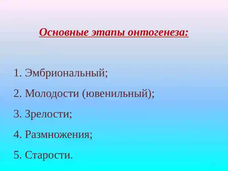 Развитие растений.Фотопериодизм и яровизация 3