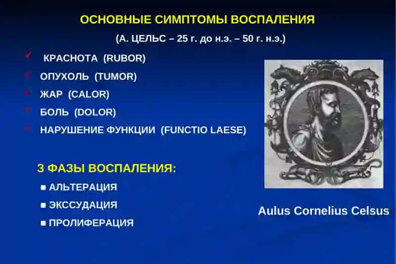 Морфология и классификация острого воспаления 3