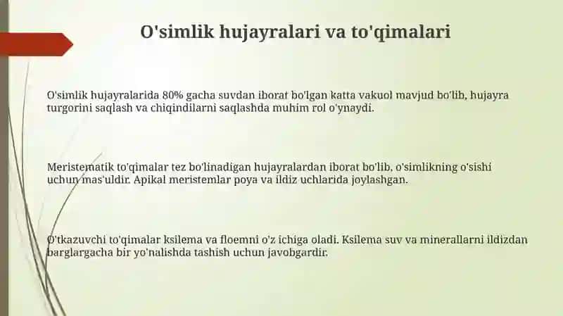 O‘simliklar anatomiyasi va fiziologiyasi 3