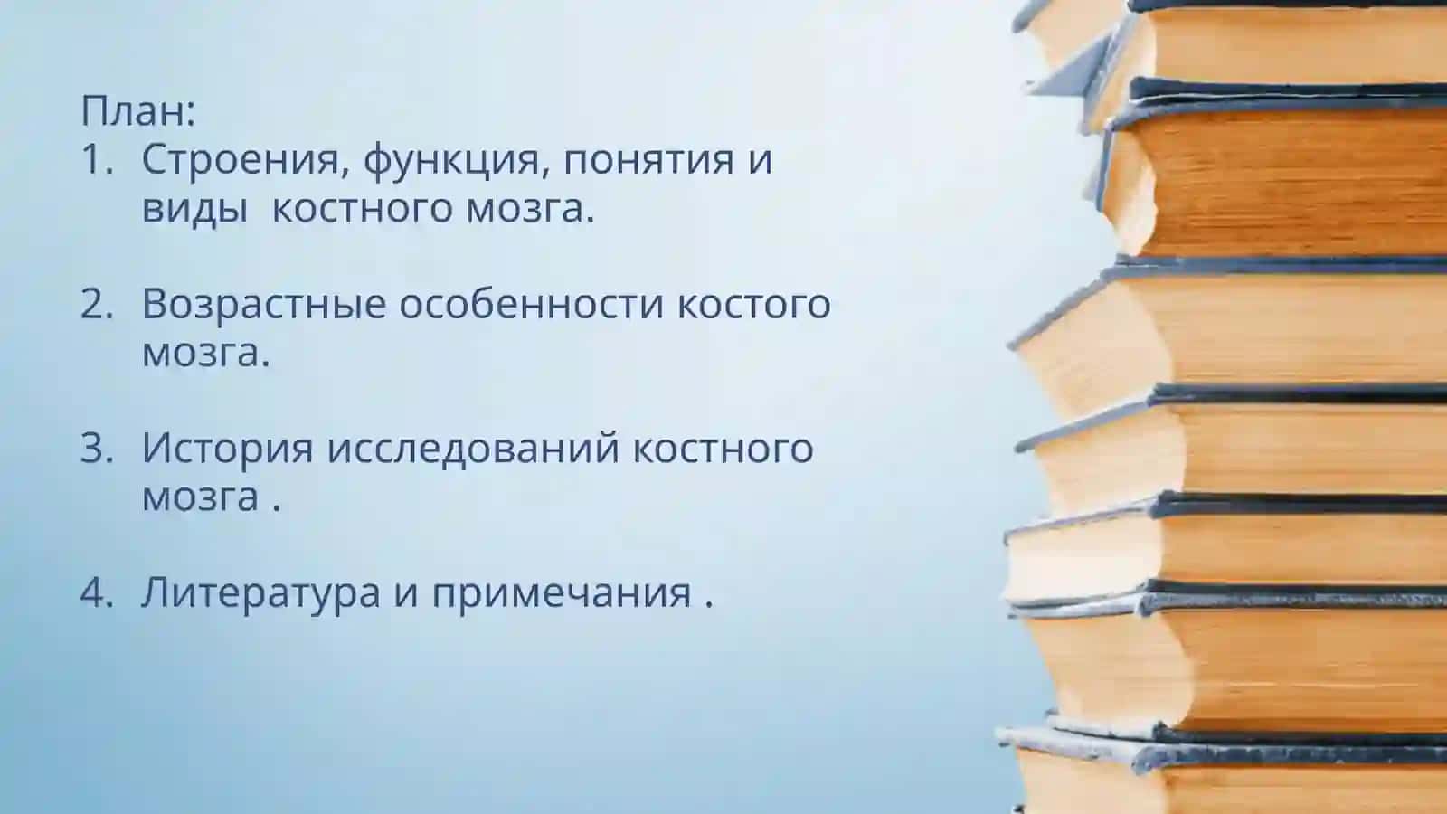 Костный мозг: развитие, строение, функции. Красный костный мозг, желтый костный мозг 3