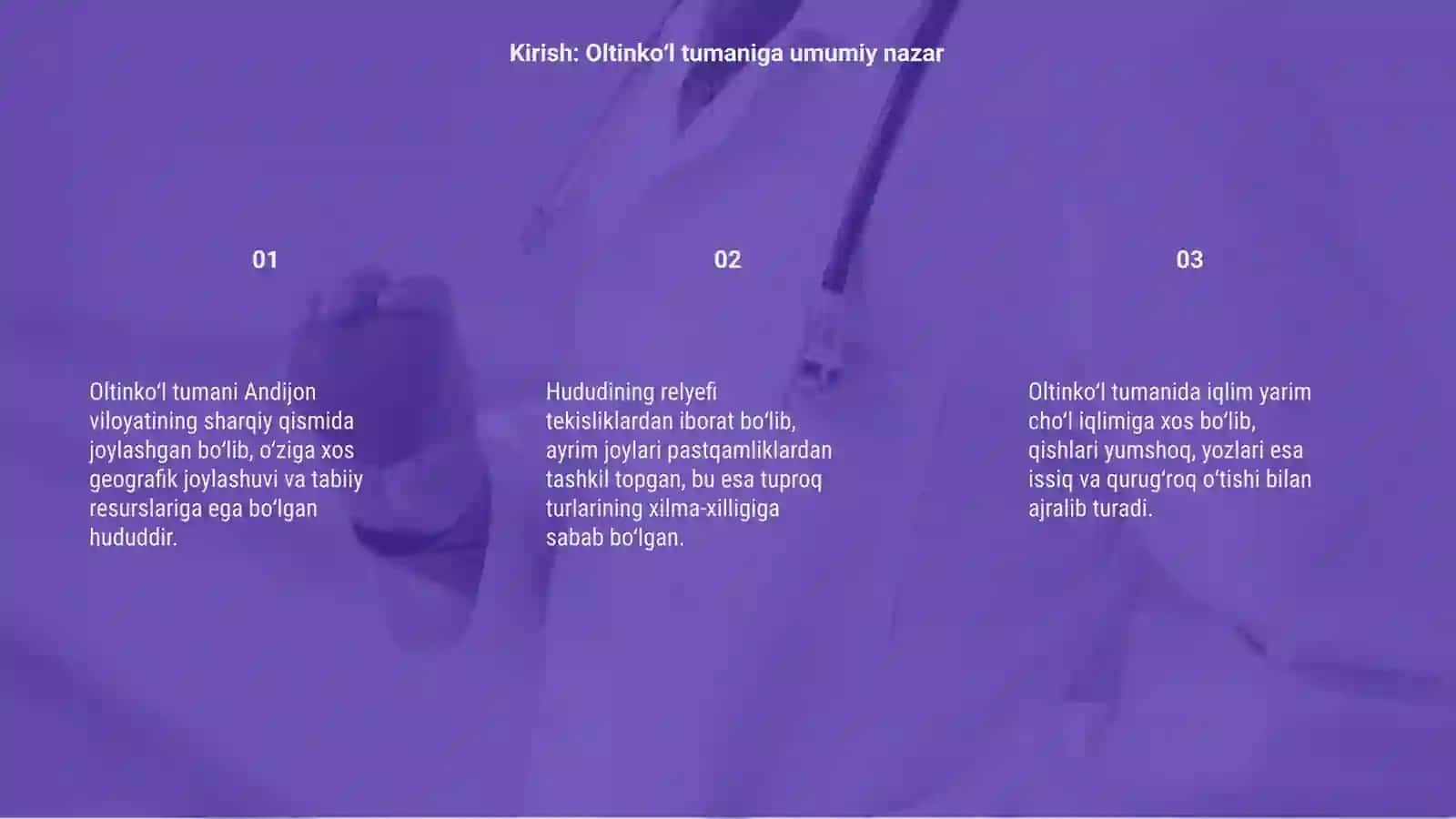 Andijon viloyati Oltinko'l tumanining morfologik jihatlari 3