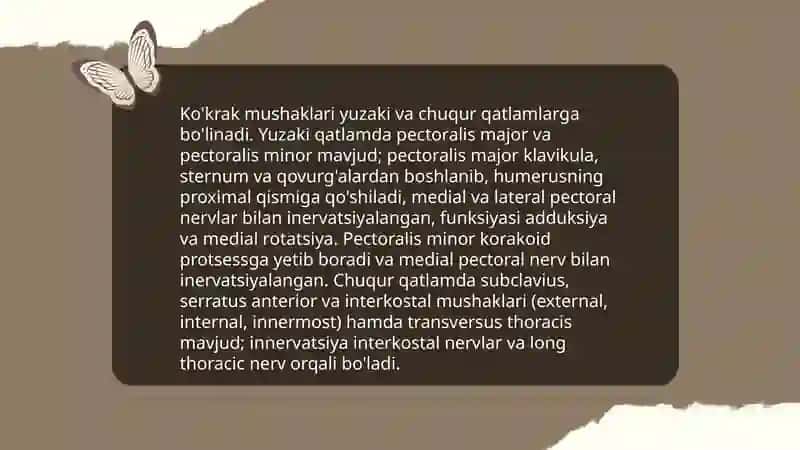 KO'KRAK MUSHAKLARI. DIAFRAGMA. QORIN MUSHAKLARI 3