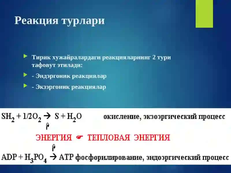 Биологик оксидланиш 3