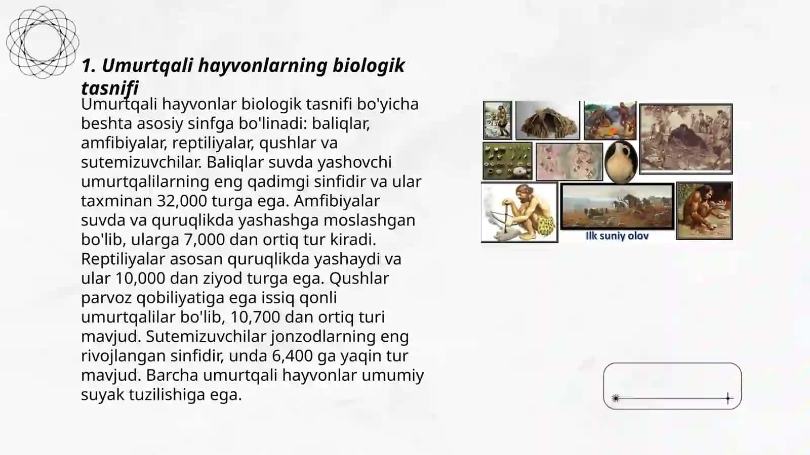 Umurtqali hayvonlarning kupayishi va rivojlanishi 3
