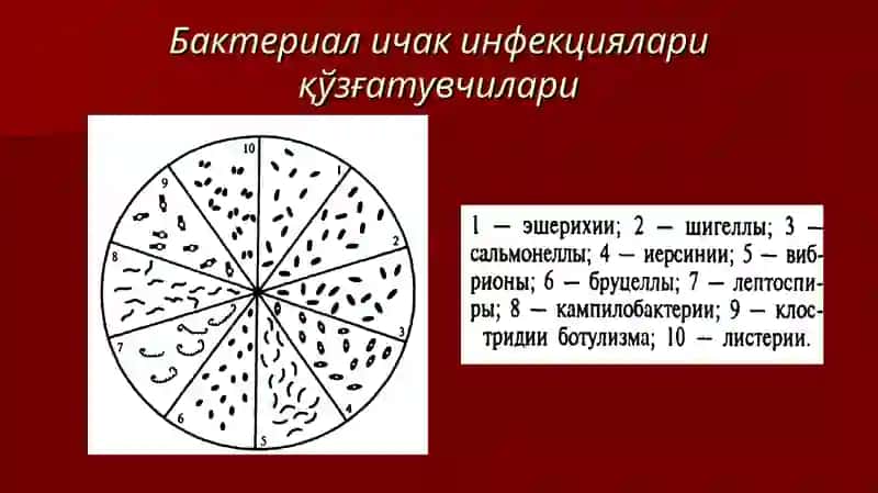 Бактериаличак инфекциялари қўзғатувчилари 3