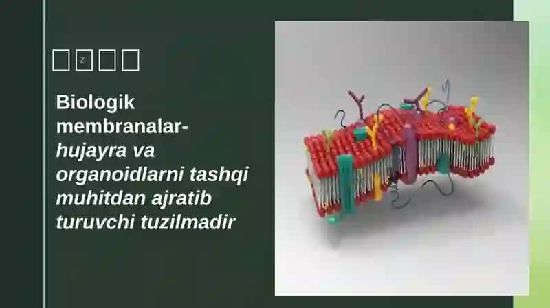 Biologik membranalarda fizik jarayonlar 3