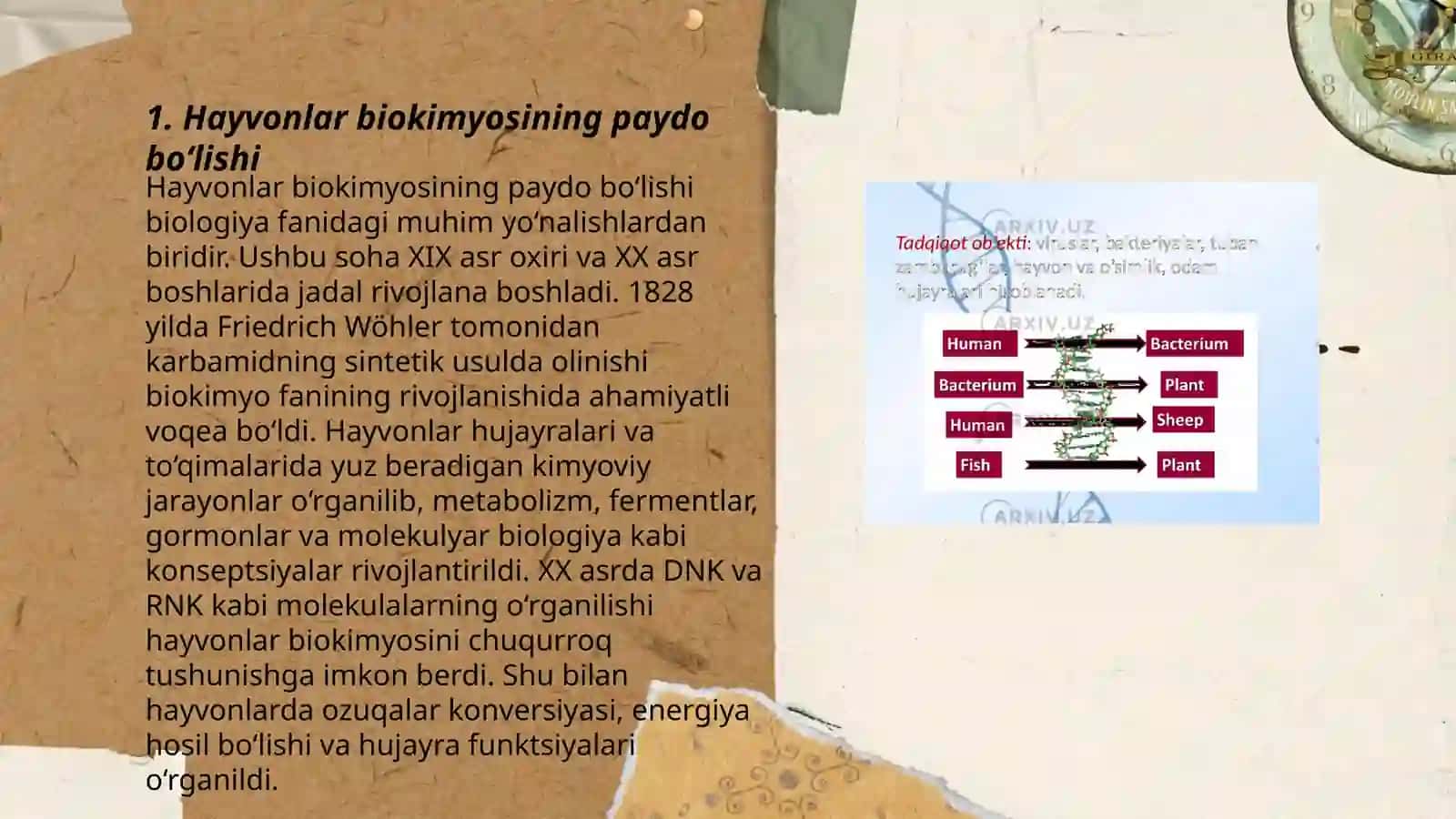 Hayvonlar biokimyosi fanining ayrim sohalari va rivojlanish tarixi 3