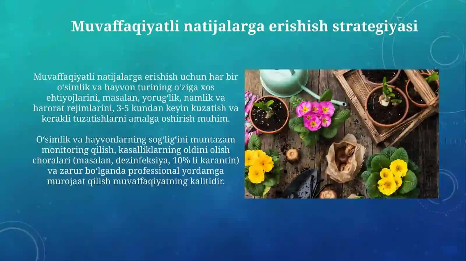 Turli guruhlarda tabiat burchagida osimlik va hayvonlar parvarishi va gʻamxoʻrlik 3