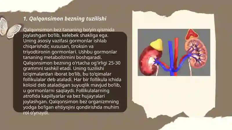 Qalqonsimon bez, qalqonsimon oldi bez, buyrak usti bezi - tuzilishi gistologik tuzilishi, bajaruvchi funksiyasi va potologiyasi 3