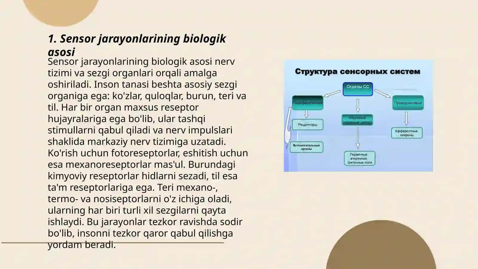 Sensor jarayonlari psixofiziologiyasi va sensor tizimining umumiy xususiyatlari 3