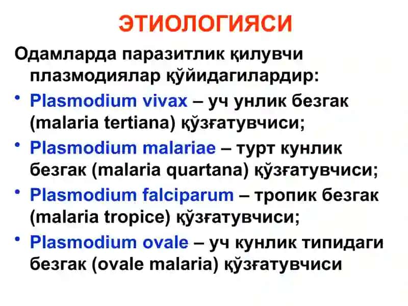 БЕЗГАК(МАЛЯРИЯ,MALARIA) 3