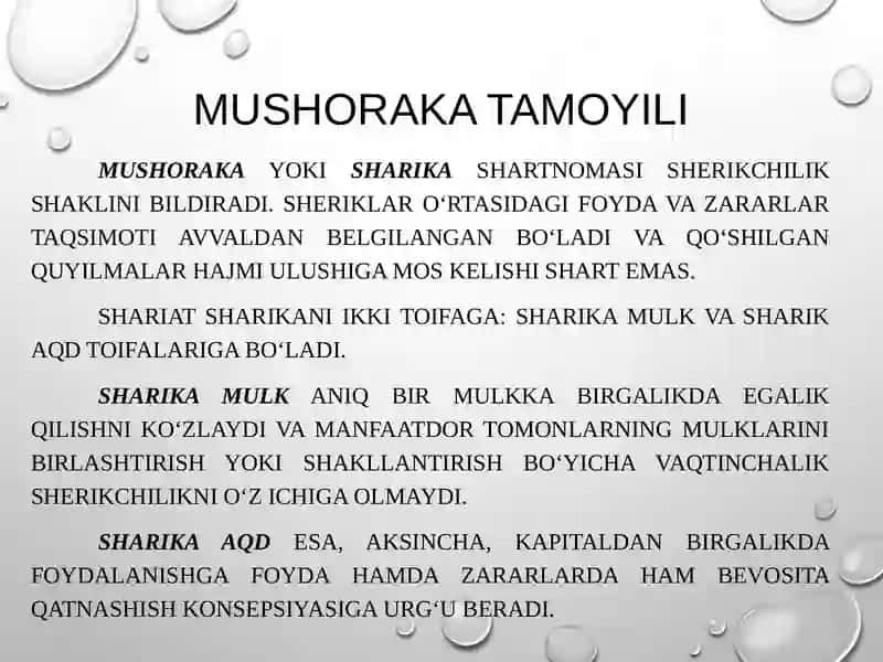 Islom bankining tamoyillari mavzusida taqdimot 3