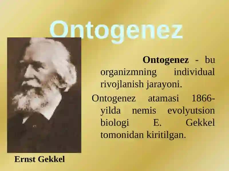 Ontogenez 3