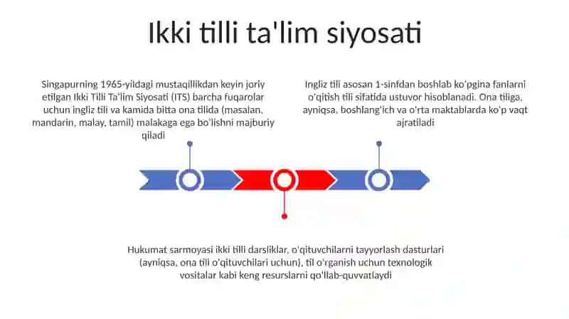 Singapur davlatidagi ta'lim tizimi 3