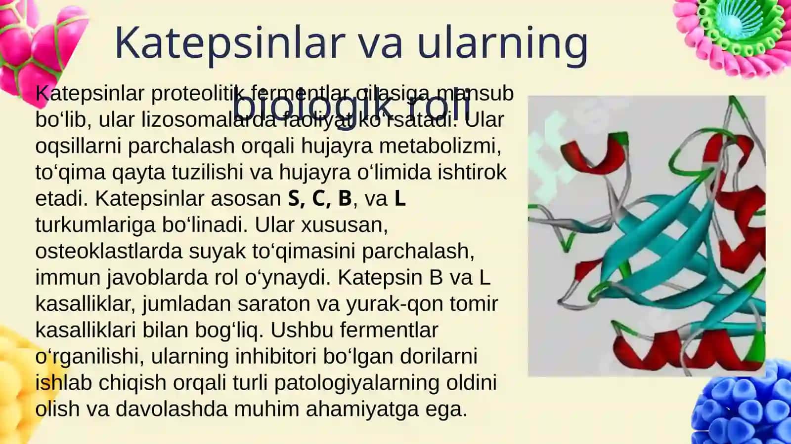 Oqsillarning tòqimalarda katepsinlar ishtirokida parchalanishi biogen aminlarning sintezi
<div><span 3