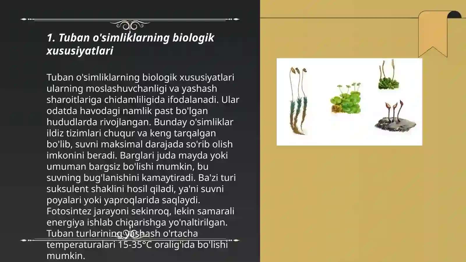Tuban o'simliklar haqida umumiy tushuncha 3