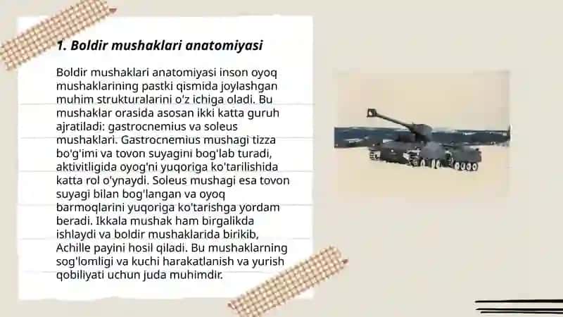 Boldir mushaklari anatomiyasi 3