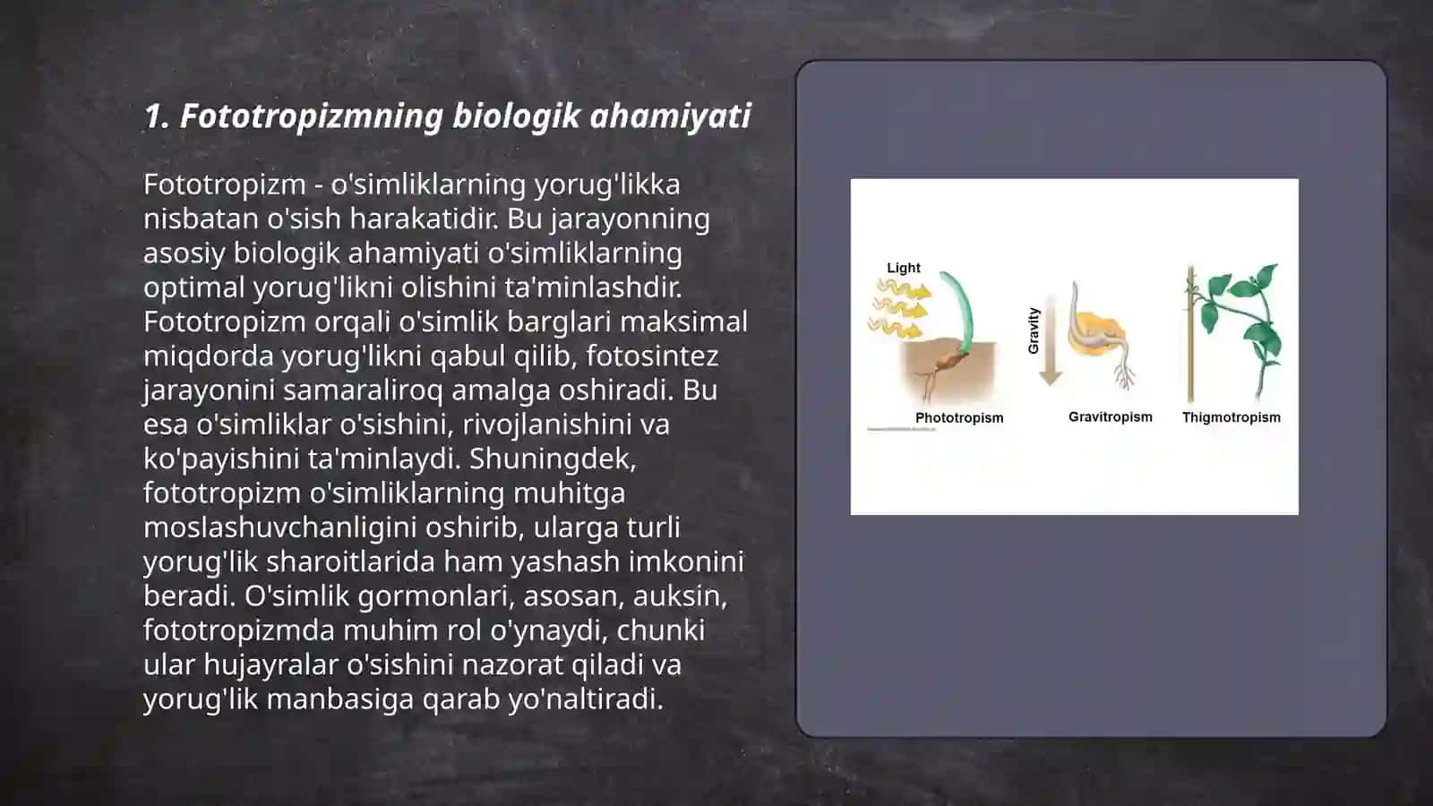 Fototropizmning biologik ahamiyati 3