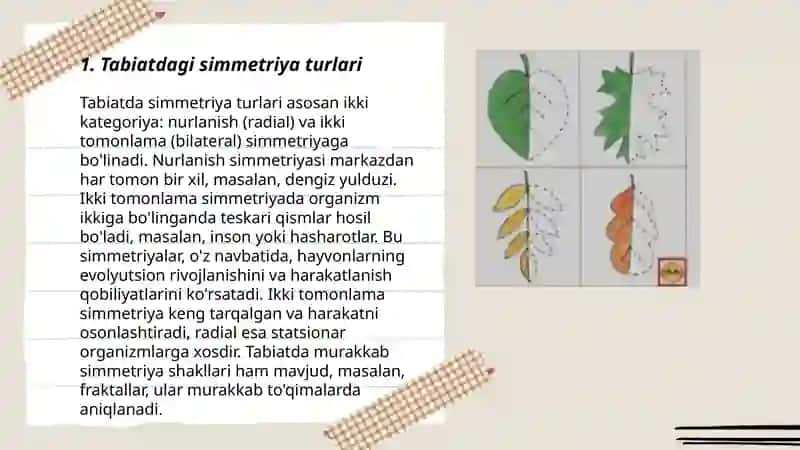 Tabiatdagi simmetriya 3
