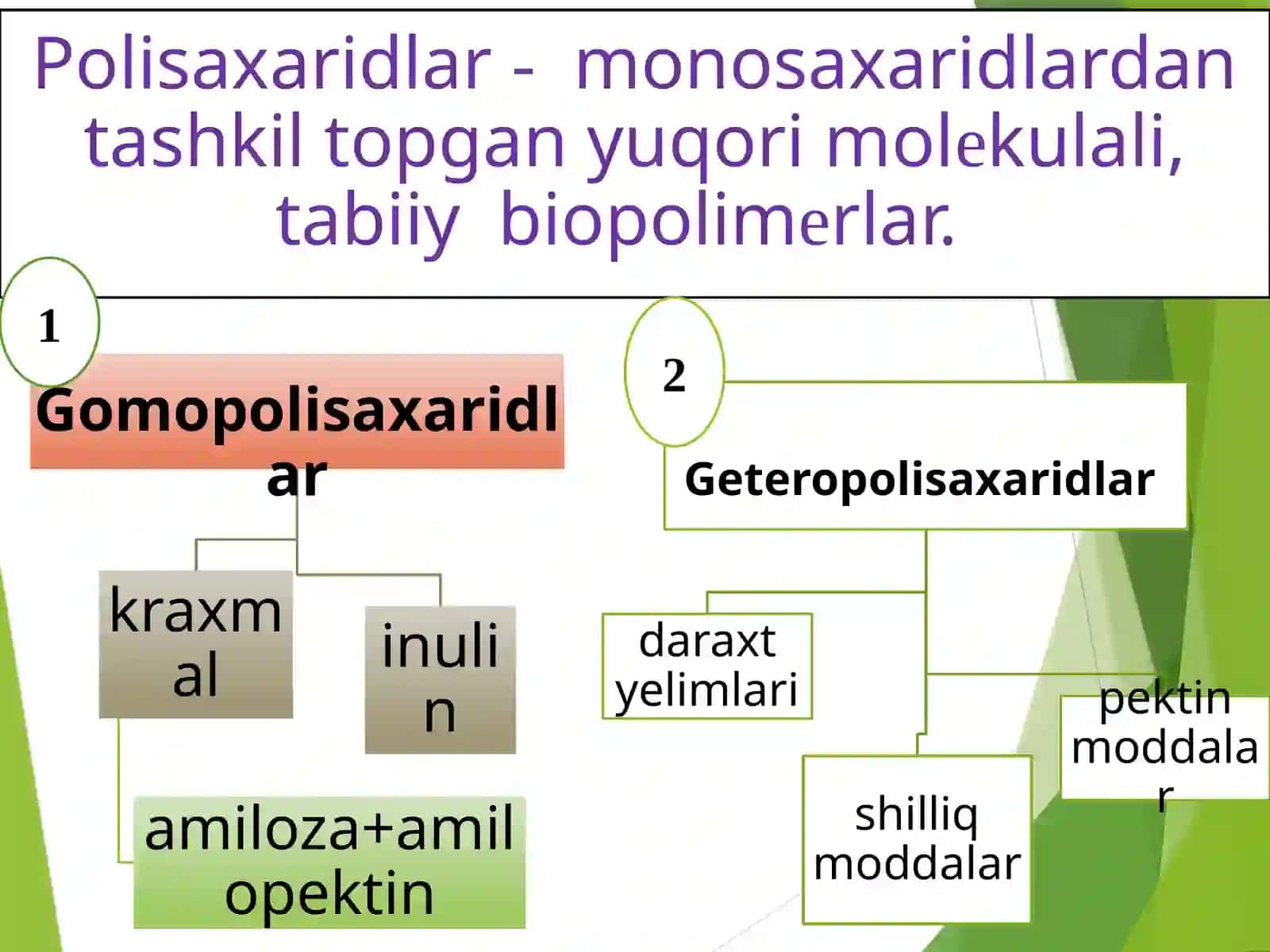 Polisaxaridlar saqlovchi dorivor o`simliklar 3