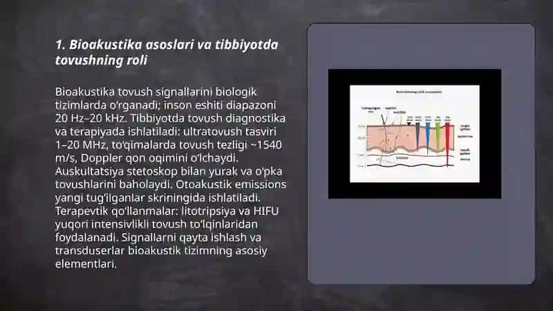 Bioakustika asoslari tibbiyotda tovushdan foydalanish 3