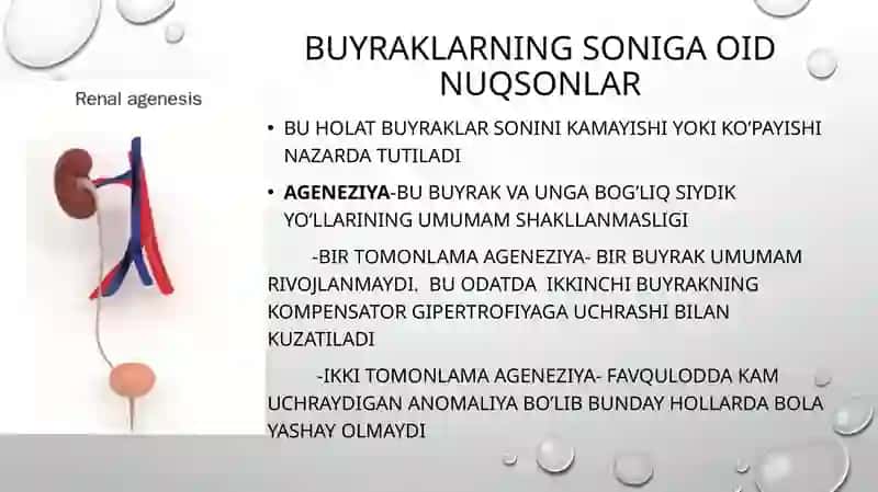 Buyraklarning tug’man uqsonlari 3