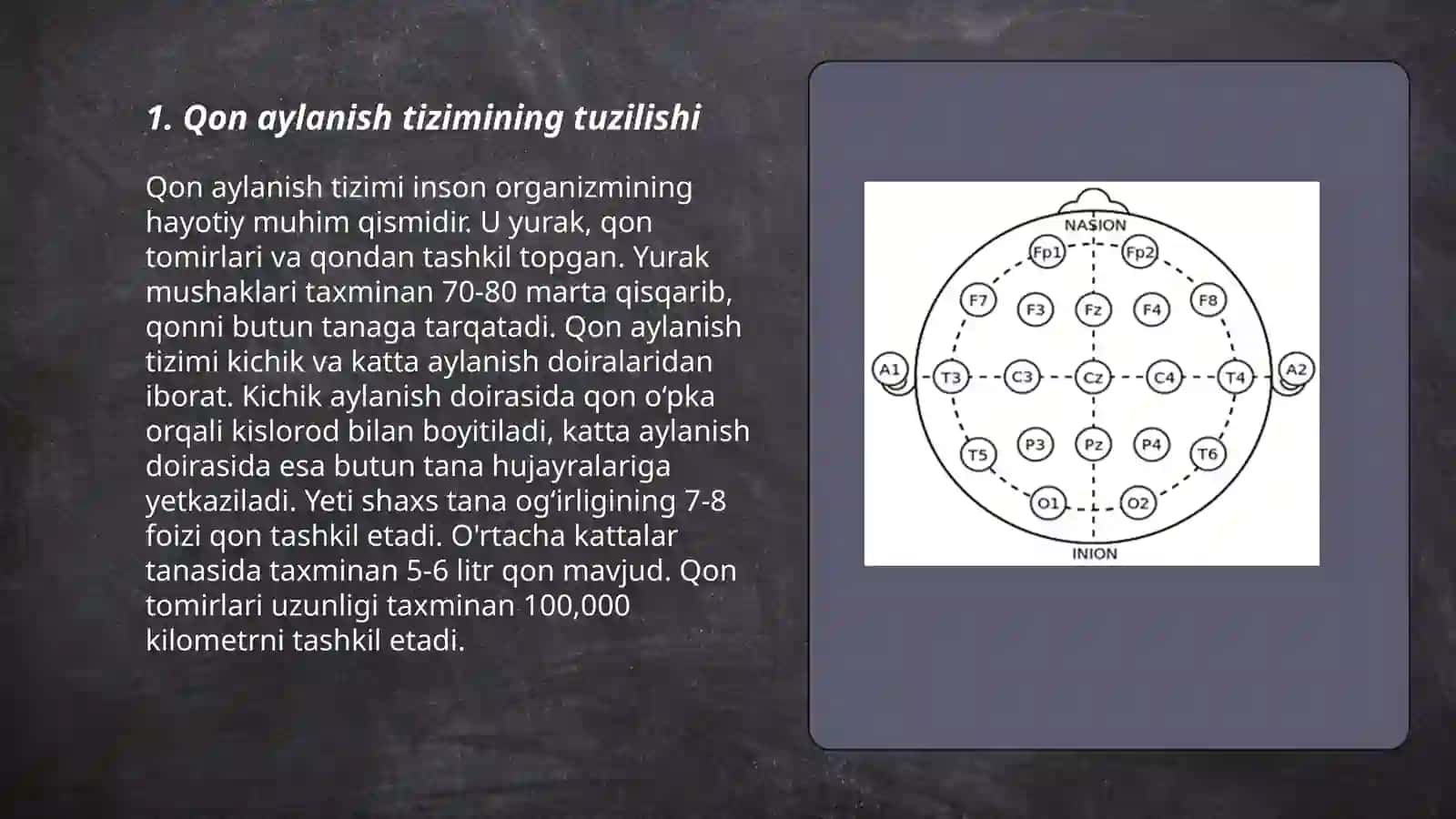 Qon aylanish sistemasi 3