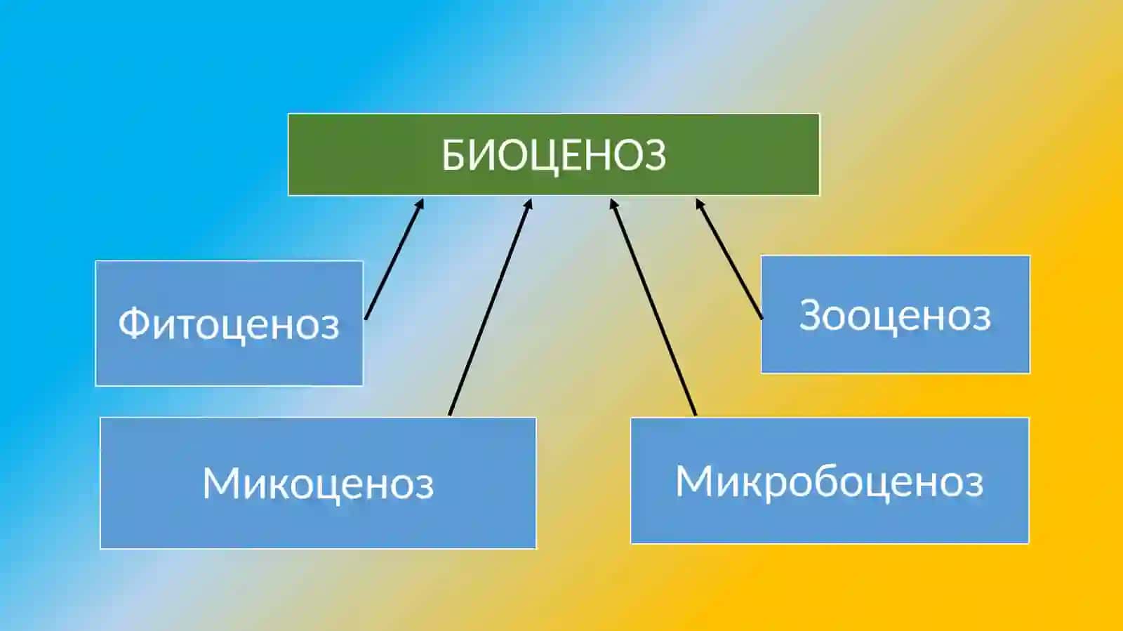 Экотизимлар(ландшафтлар)ва барқарортараққиёт (“яшил” иқтисодиёт) асослари 3