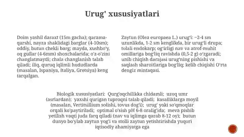 Zaytun (Olea L.) avlodga mansub turlarining botanik ta‘rifi va biologik xususiyatlari 3