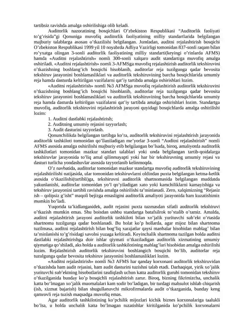 AUDITORLIK TEKSHIRUVINI REJALASHTIRISH 3