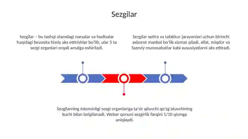 Idrok, xotira va tafakkur jarayonlari 3