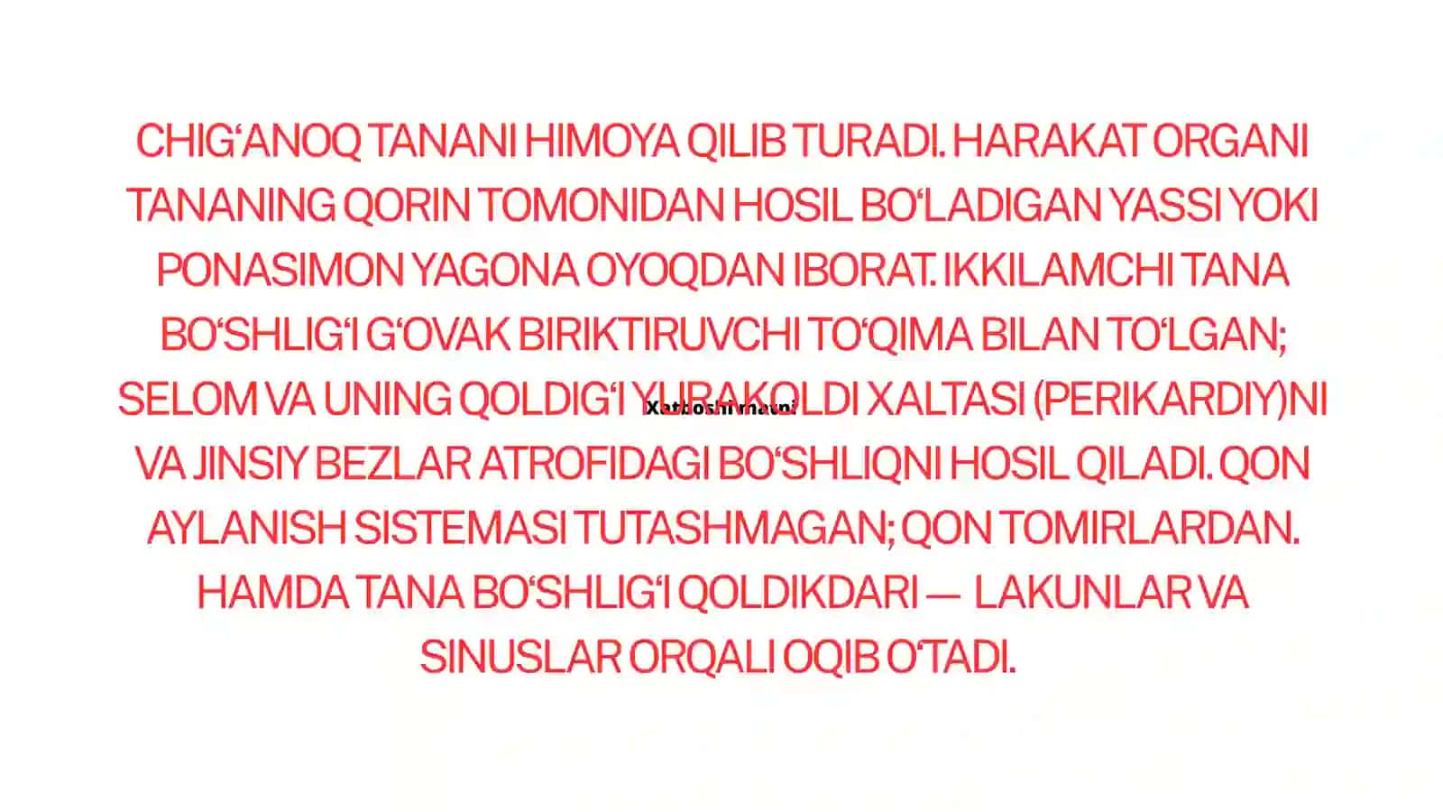 GAVDASI, ODATDA, BOSH, TANA VA OYOQ BOʻLIMLARIDAN IBORAT 3