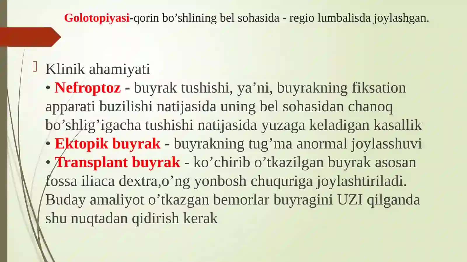 Buyrak.Ularning yoshga qarab o‘zgarishi. Siydik yo‘li, qovuq, siydik chiqarish kanali, ularning yoshga qarab o‘zgarishi 3