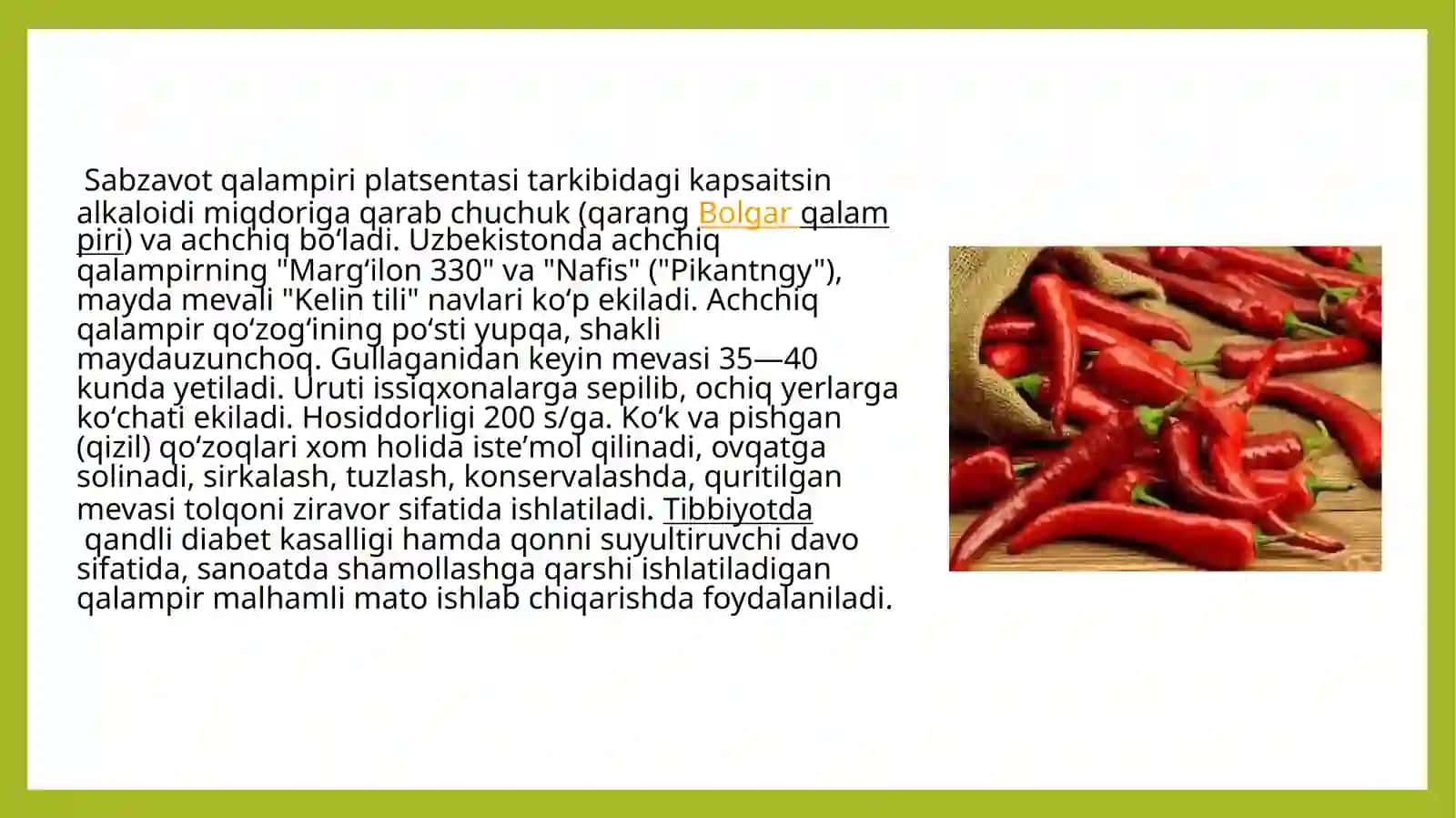 Qalampir o’simligining dorivorligi va yetishtirish texnologiyasi 3