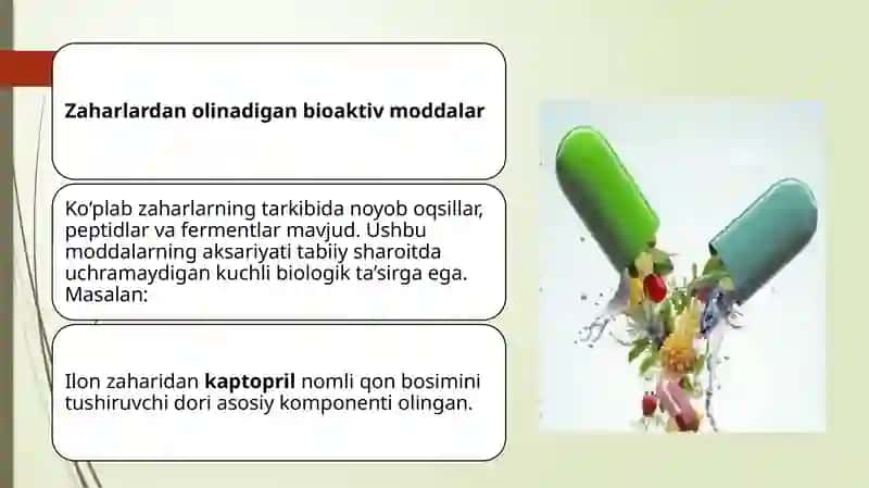Zaharli hayvonlardi tibbiyotdagi ahamiyati 3