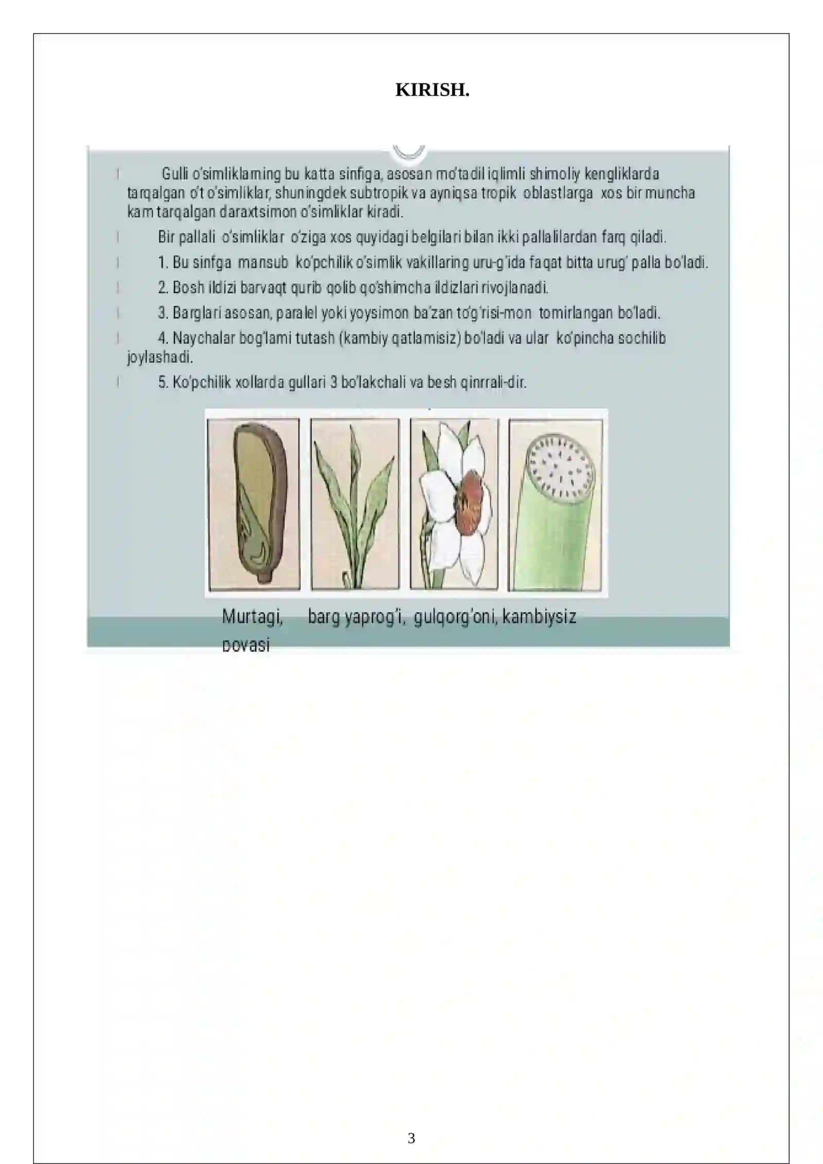 Bir uruģ pallalilar sinfi( Monocotyledineae) , vakillari, tarqalishi, tuzilishi, ko‘payishi, ahamiyati 3