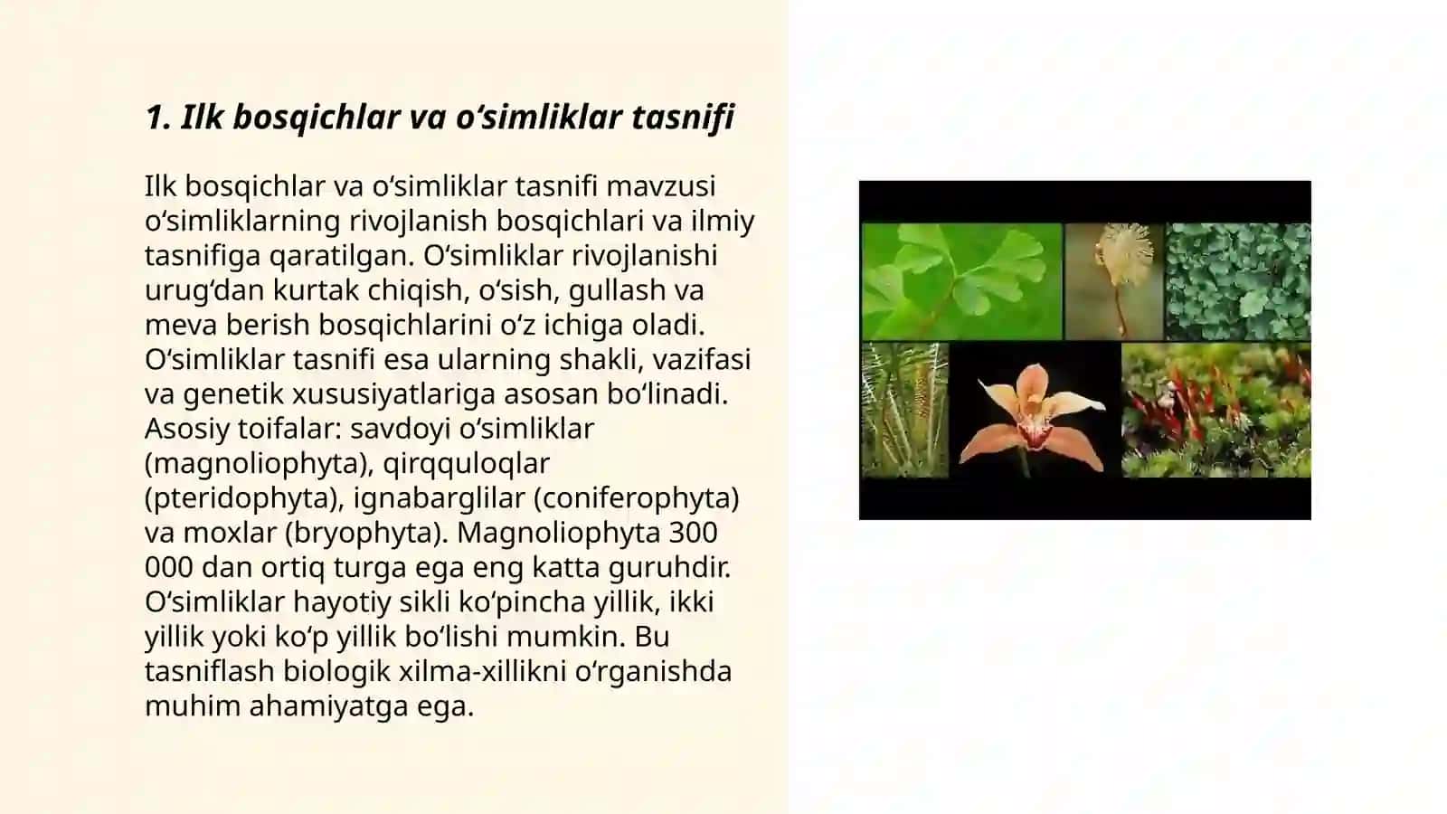 O‘simliklar sistematikasining qisqacha rivojlanish tarixi 3