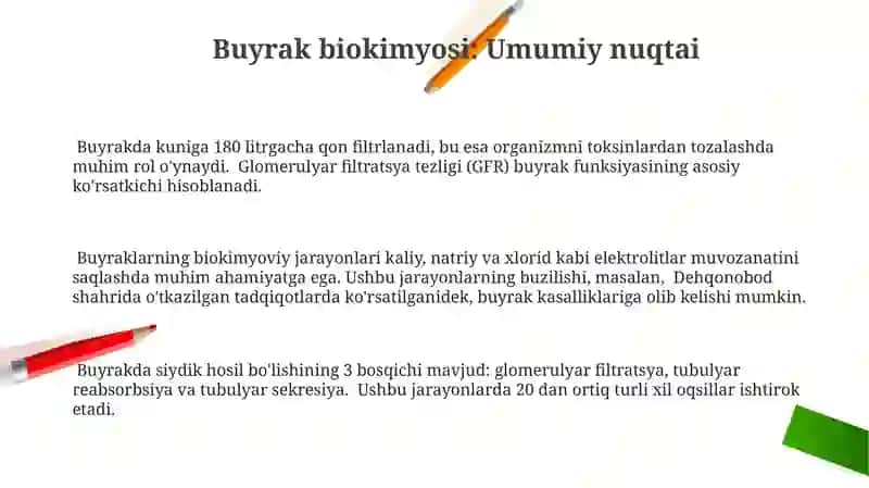 Buyrak va markaziy-periferik asab tizimi biokimyosi 3